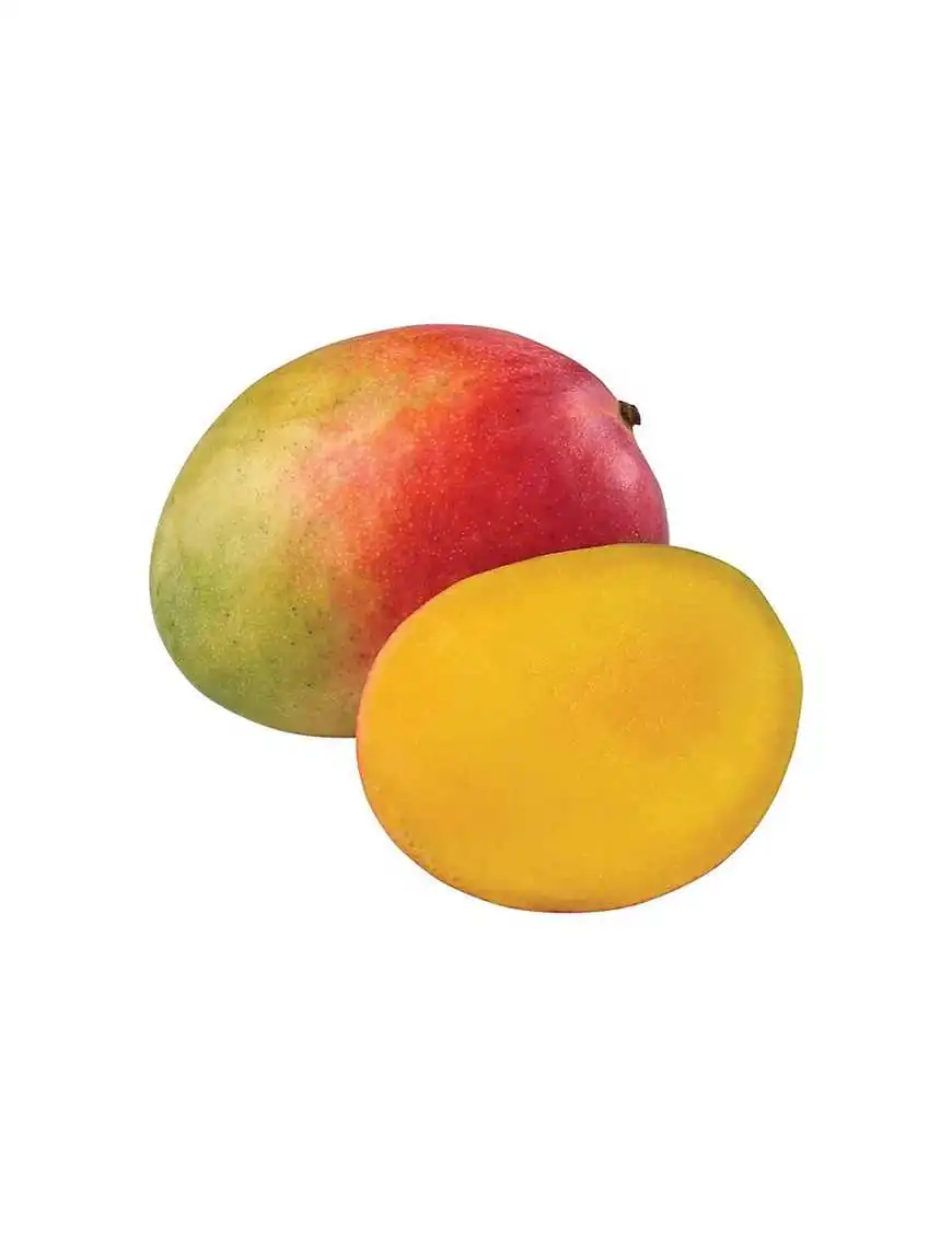 Mangue Kent par Avion (1 pièce)