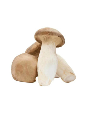 Champignons Eryngii (300g)