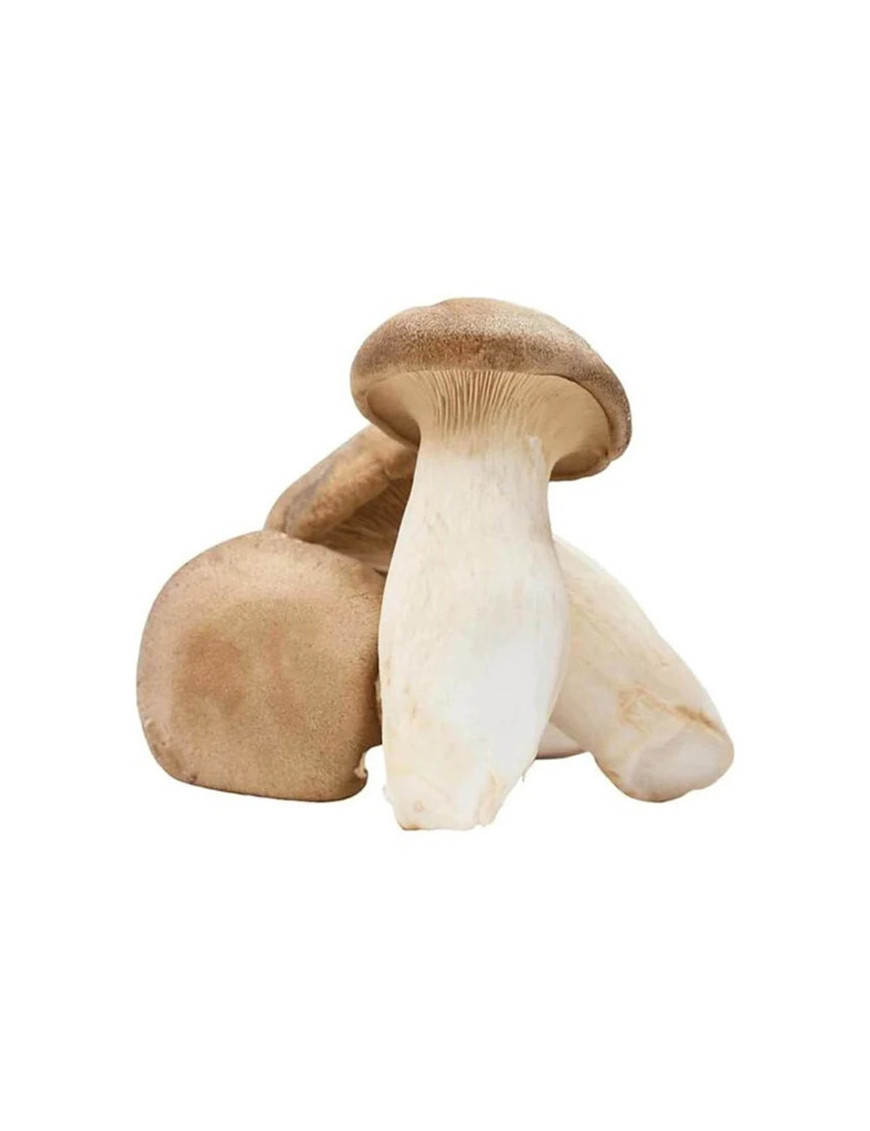 Champignons Eryngii (300g)