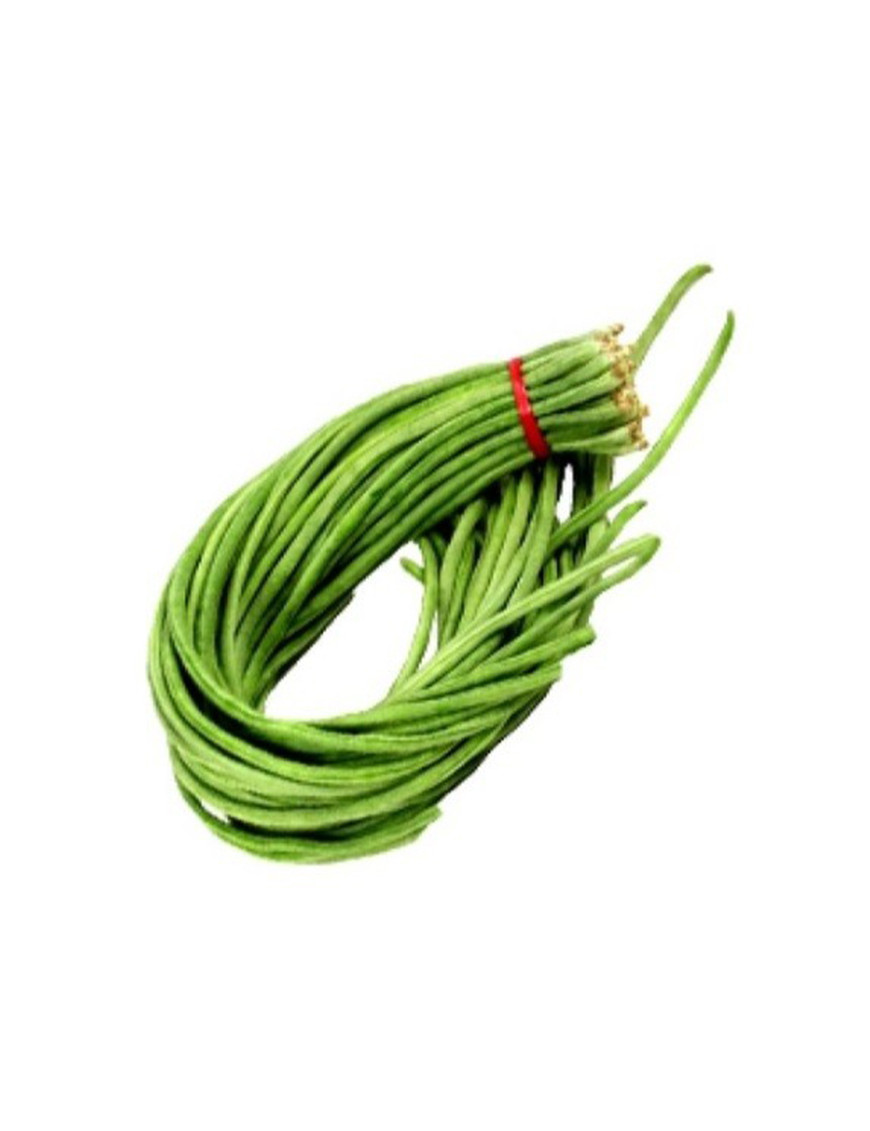 Haricots Longs - Haricot Kilomètre (500g)